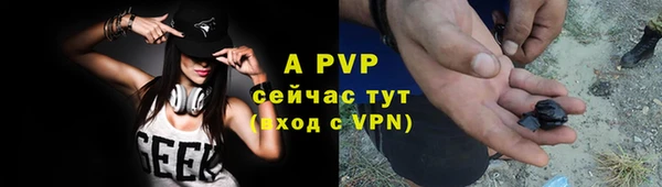 амф Алексин
