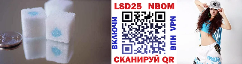 дарк нет телеграм  Светлоград  LSD-25 экстази кислота  как найти  