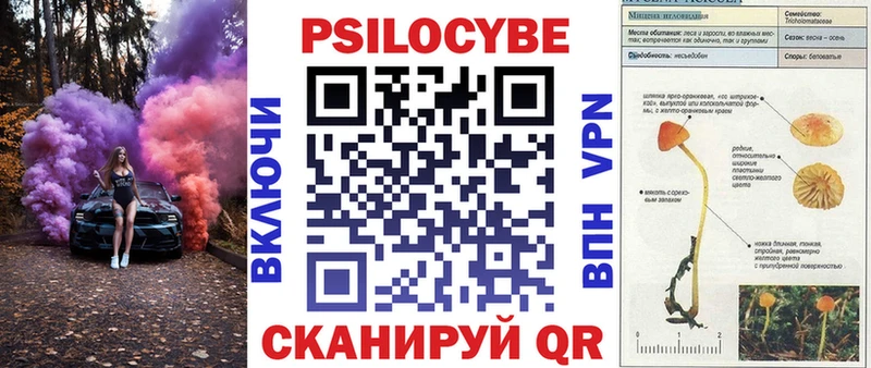 Псилоцибиновые грибы GOLDEN TEACHER наркошоп Светлоград